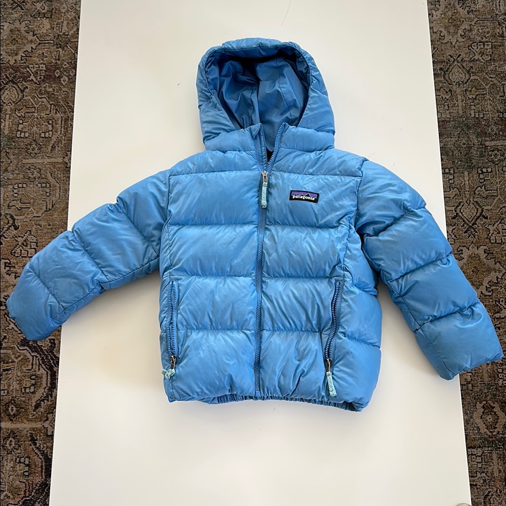 Hi-Loft Down Sweater Hoodie - Toddlers'